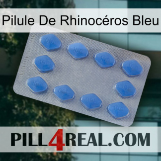 Pilule De Rhinocéros Bleu 21